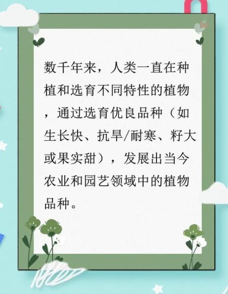 植物历史视频大全_如何系统观看植物演化史