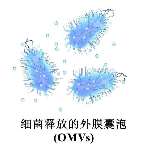 新型纳米科技产品有哪些_纳米材料如何改变生活