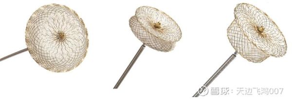 先健科技产品有哪些_先健科技心脏封堵器怎么样