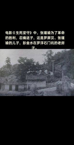 历史沉淀图片大全_如何高效查找老照片