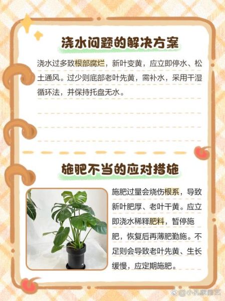 室内植物怎么养_绿植黄叶怎么办