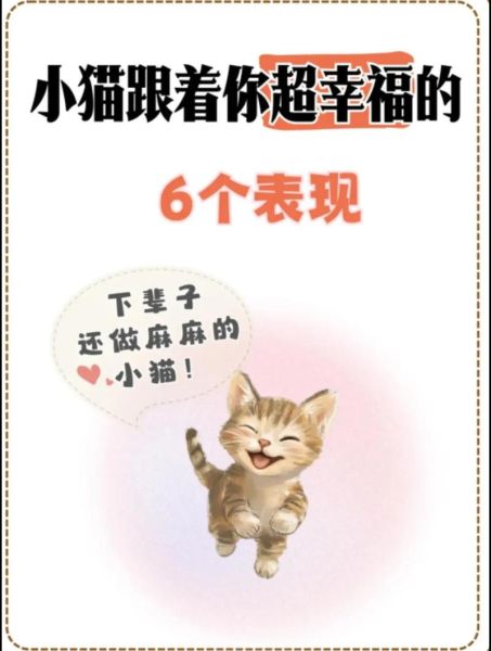 小猫咪幸福生活_如何让猫咪更快乐