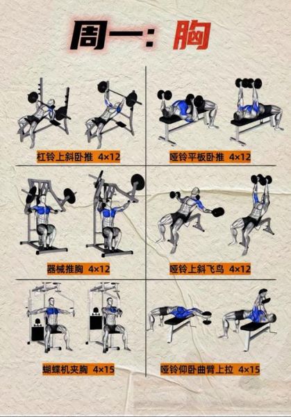 健身艺术是什么_健身艺术如何入门