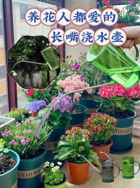 浇花多久浇一次水_浇花用什么水最好