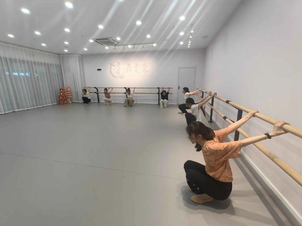 舞蹈艺术机构哪家好_如何选择舞蹈课程