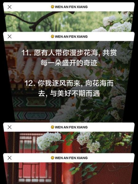 花开文案生活怎么写_花开文案生活有哪些灵感