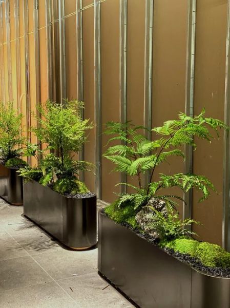 造景艺术是什么_如何打造自然感造景