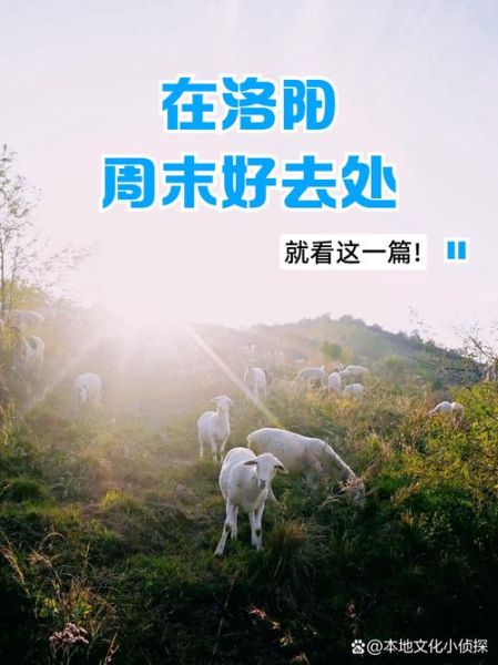 周末去哪玩_周末怎么过