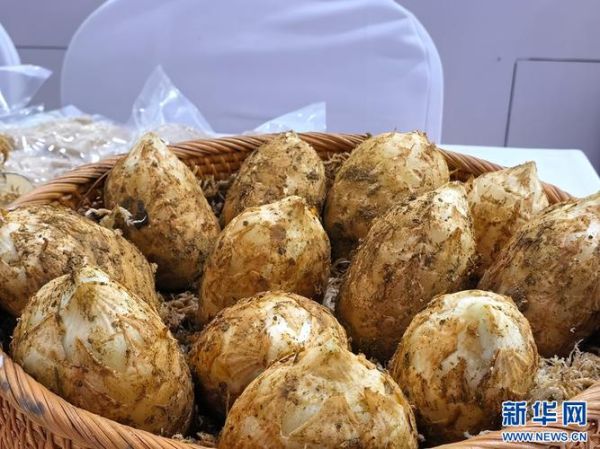 云南有哪些科技产品出名_云南科技产品有哪些特色