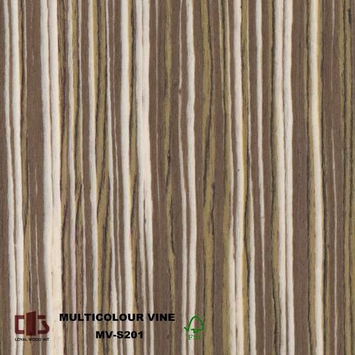 藤木科技产品有哪些_藤木科技官网型号大全