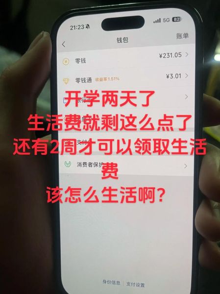 如何争取生活费_大学生生活费不够怎么办