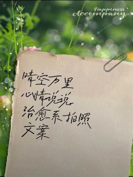 频繁拍照记录生活文案怎么写_如何用手机拍出治愈系日常