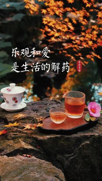 才是生活的解药是什么_才是生活的解药怎么用