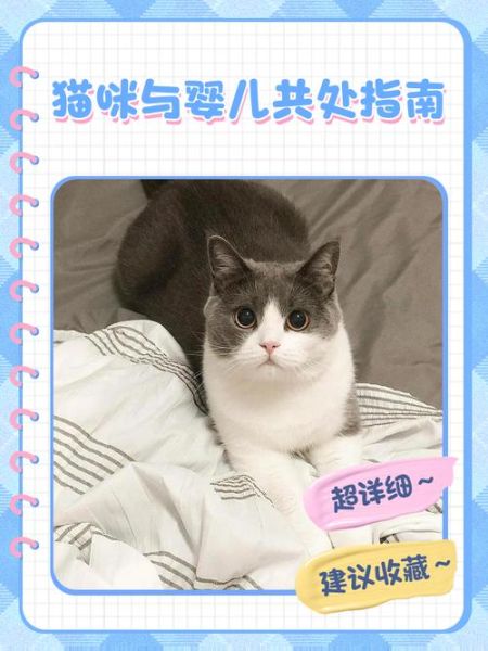猫咪和宝宝能一起养吗_如何让猫与娃安全相处