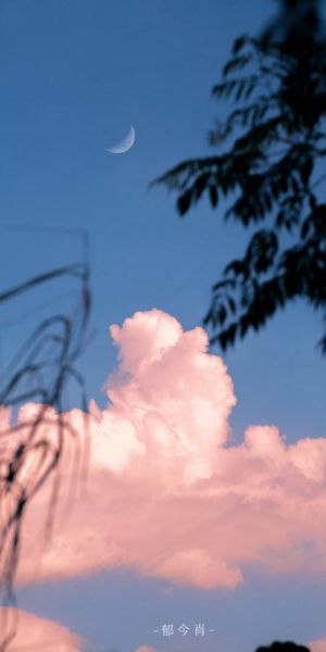 生活云朵是什么_生活云朵怎么用