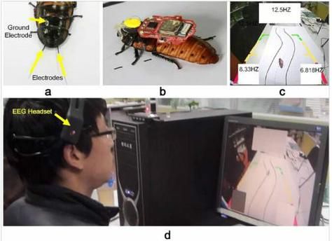 什么是脑机接口_脑机接口何时商用