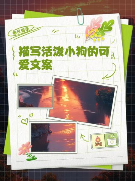 小狗的艺术文案怎么写_如何让宠物品牌文案更动人