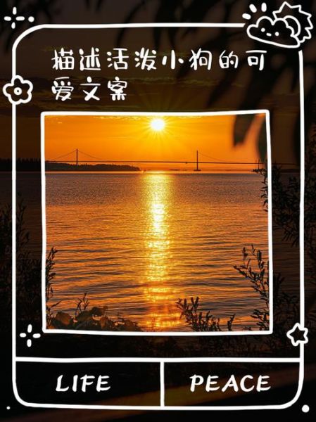 小狗的艺术文案怎么写_如何让宠物品牌文案更动人