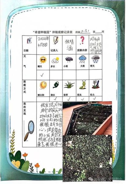 科技产品观察记录怎么写_观察记录模板有哪些