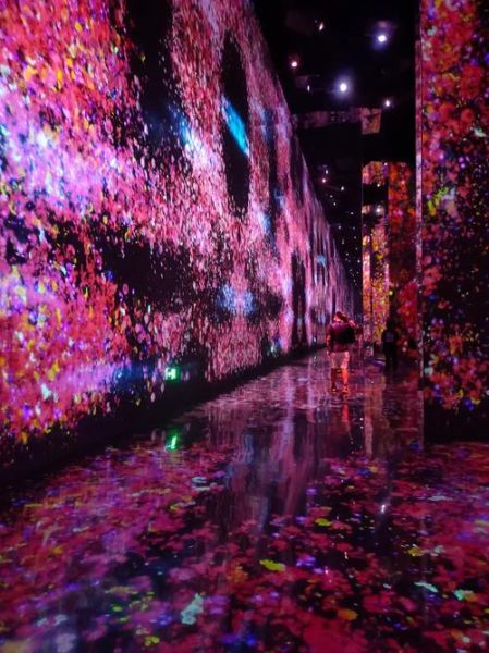 无相艺术是什么_无相艺术如何体验