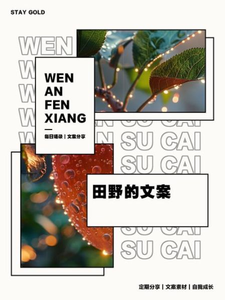 艺术田野是什么_如何写好田野文案