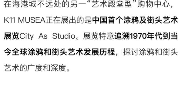 暴走艺术是什么_暴走艺术怎么入门