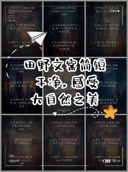 艺术田是什么_艺术田文案怎么写