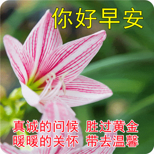 生活是动词_如何活出动态人生