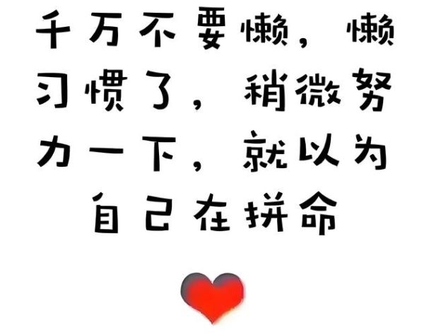生活本就很苦了_为什么还要努力