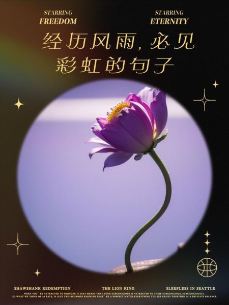 彩虹雨艺术文案怎么写_彩虹雨艺术文案有哪些技巧