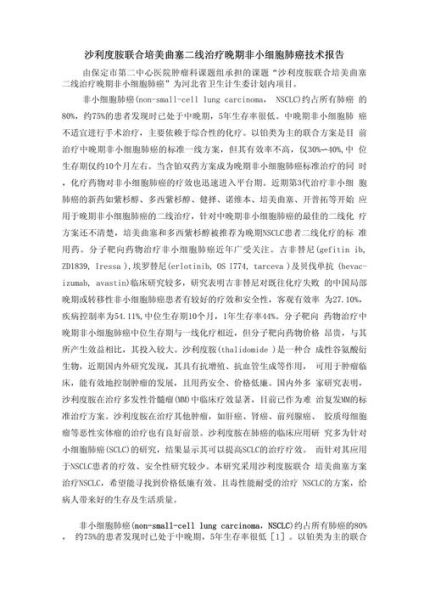 高科技产品汇报稿怎么写_如何突出技术亮点