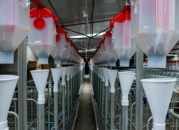 中国十大畜牧科技产品有哪些_如何选购智能养殖设备