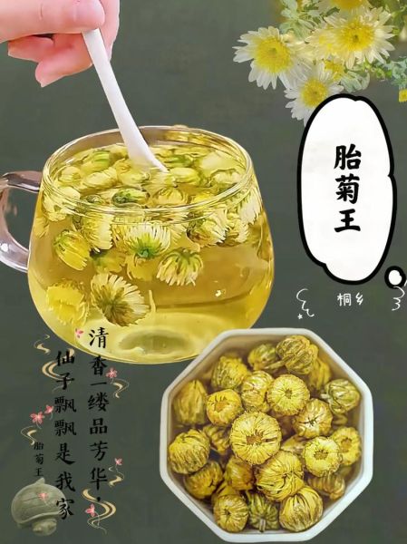 食用菊花有哪些品种_如何挑选新鲜食用菊花