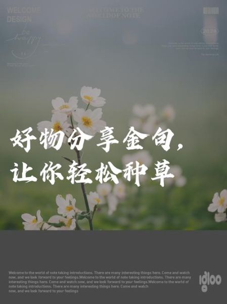 生活好物治愈文案怎么写_有哪些治愈系好物推荐