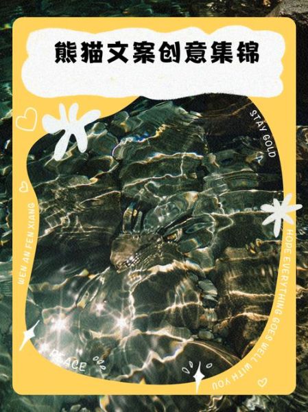 熊猫文案怎么写_熊猫文案艺术有哪些技巧