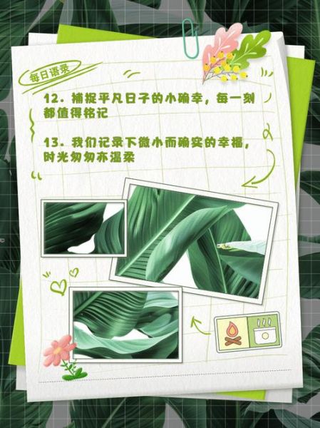 如何记录生活点滴_点滴记录生活的文案怎么写