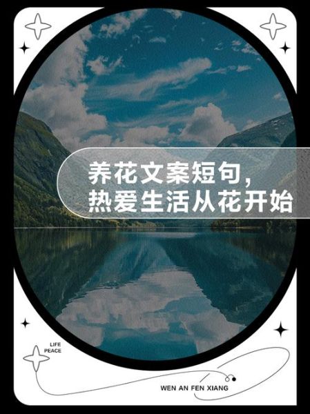 如何用花文案热爱生活_花语如何治愈情绪