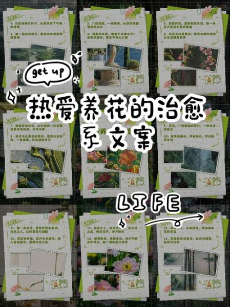 如何用花文案热爱生活_花语如何治愈情绪