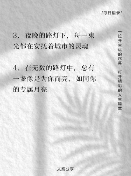 夜晚路灯下的生活文案怎么写_路灯文案如何打动人心