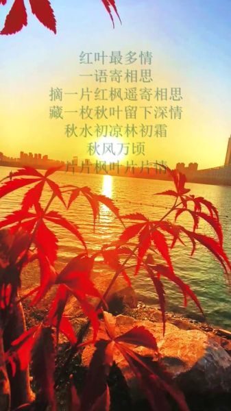 秋天去哪里看红叶_秋景艺术文案怎么写