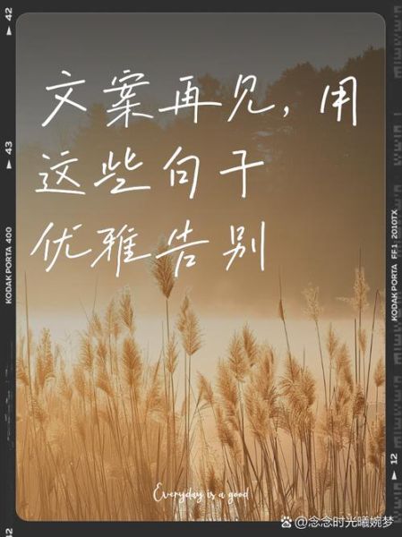 好好生活道别文案怎么写_如何优雅说再见