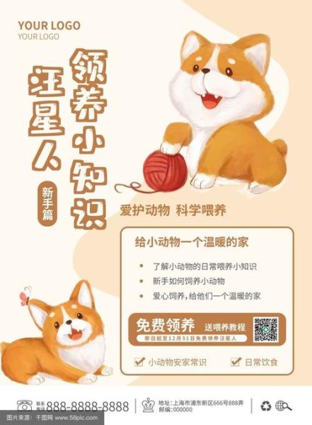 如何让宠物更快乐_宠物快乐生活怎么做