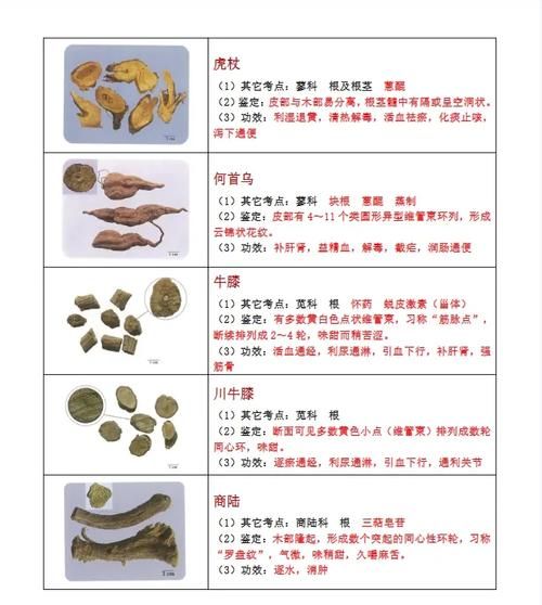 中药历史图片大全_古代药材图谱怎么查