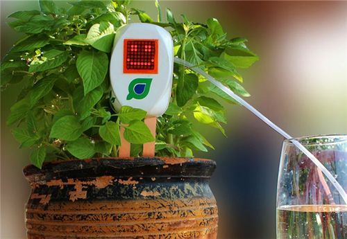 植物科技产品有哪些_植物智能养护设备怎么选