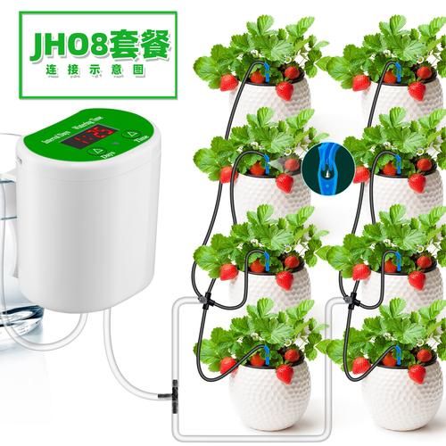 植物科技产品有哪些_植物智能养护设备怎么选