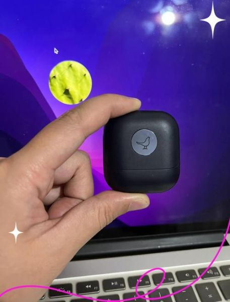 小鸟科技产品价格查询_小鸟科技多少钱