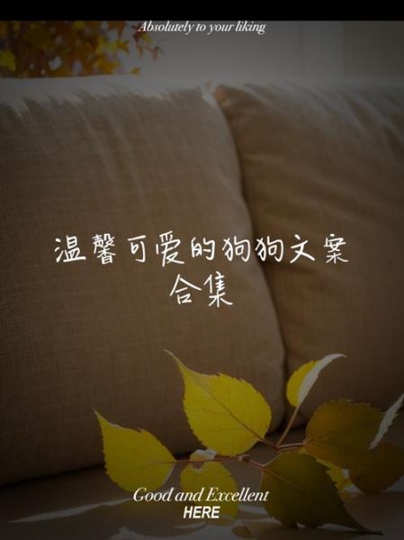 狗的艺术文案怎么写_狗狗治愈文案有哪些