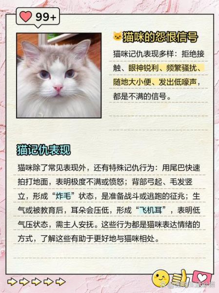 宠物黑历史大全_为什么猫咪会记仇