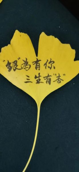 银杏艺术文案怎么写_银杏艺术文案有哪些技巧