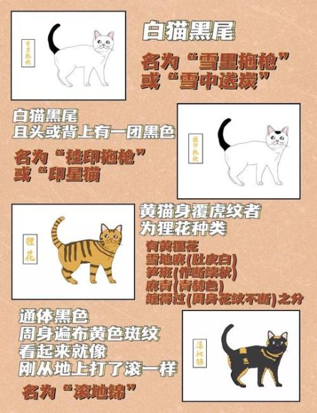 古代宠物有哪些_古人如何饲养宠物